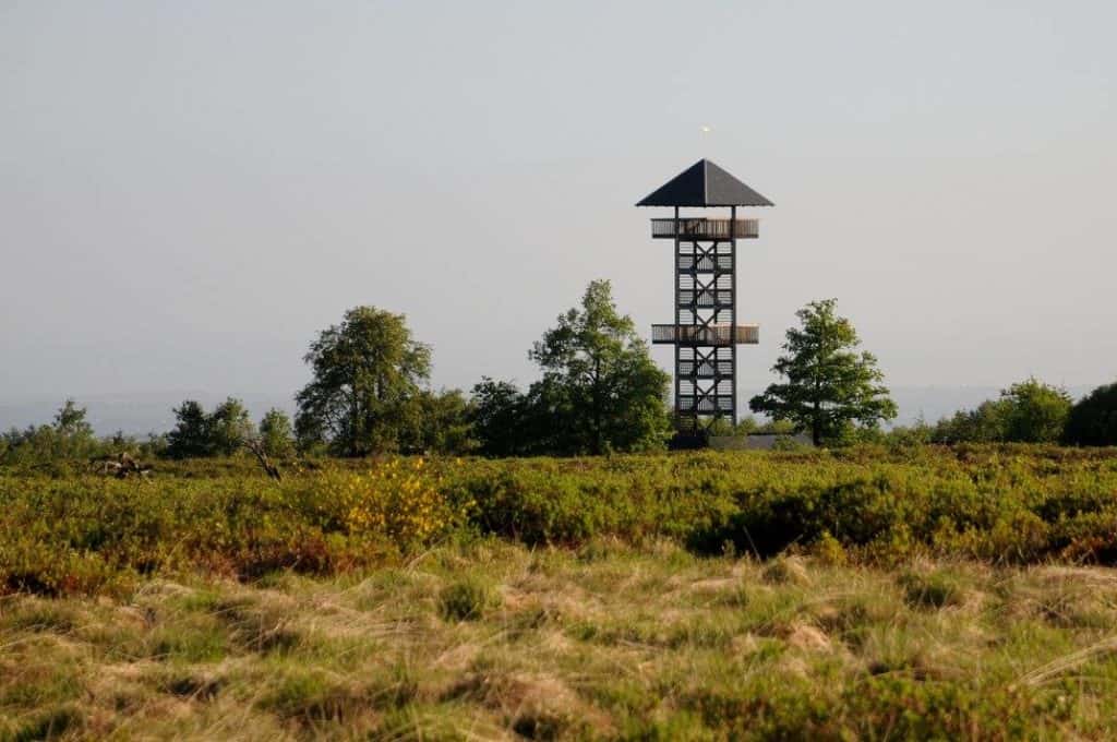 Domaine De Berinzenne