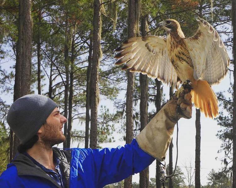 International Falconry Academy