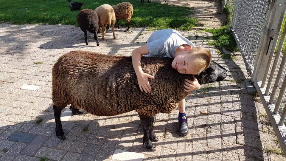 Kinderboerderij Kokiezier