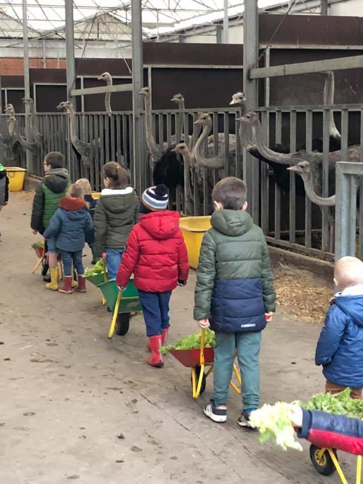 Kinderboerderij 't Struisvogelnest