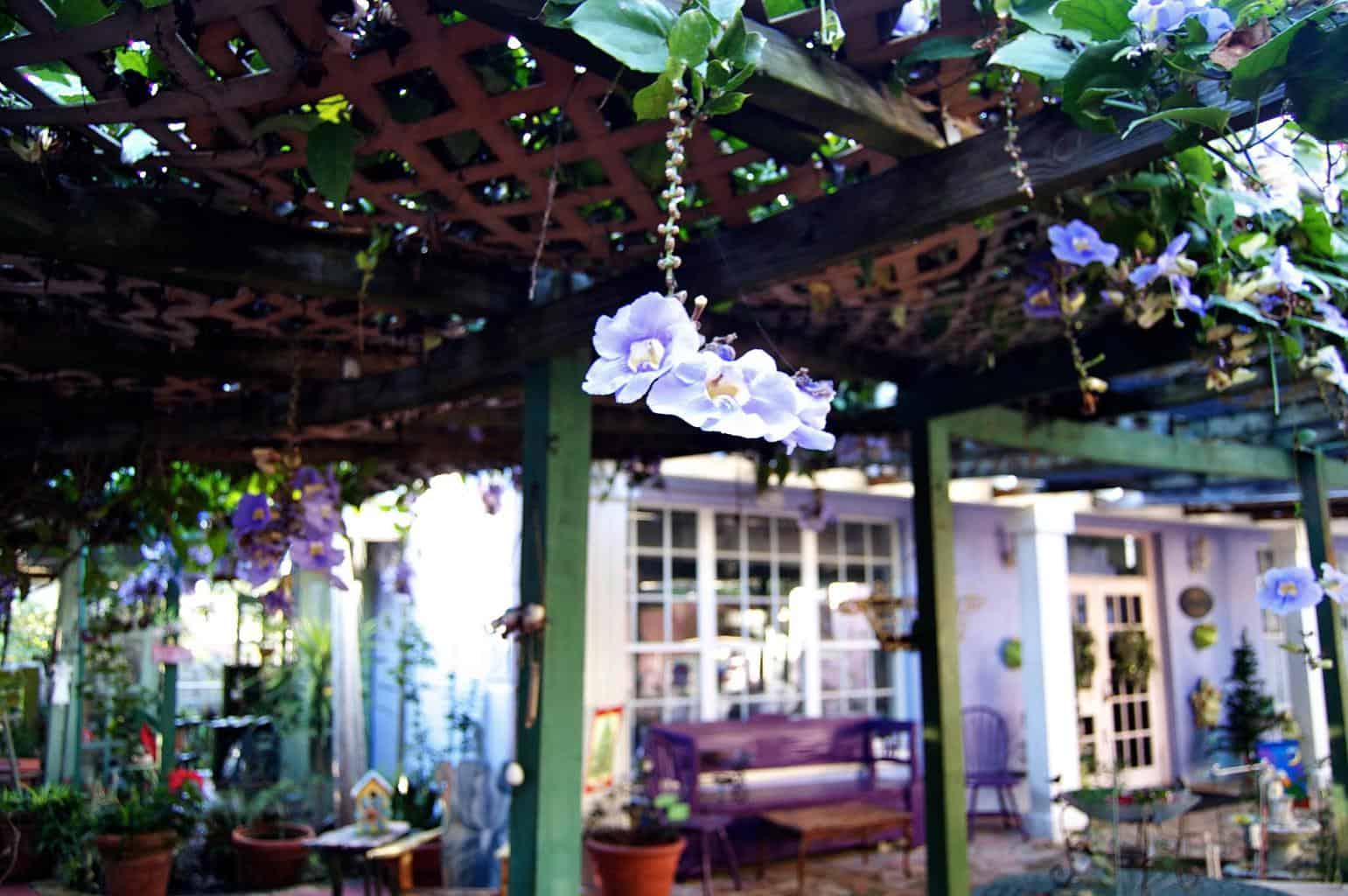 Lavender ‘n Lace Tea Room & Restaurant
