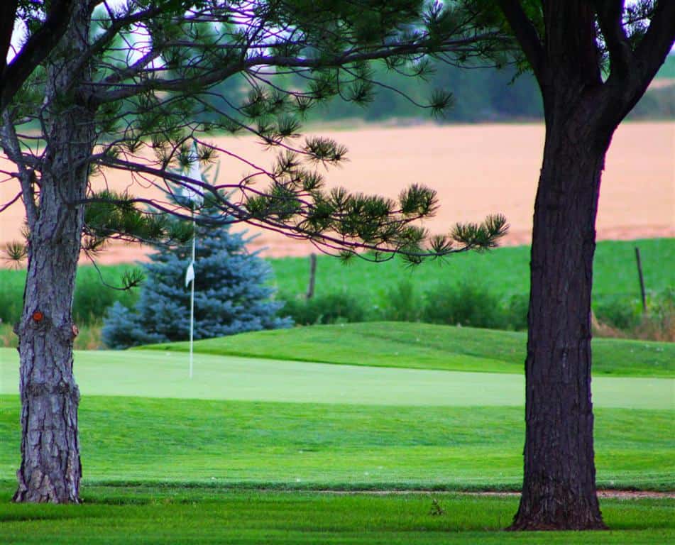 Mountain Vista Golf Course