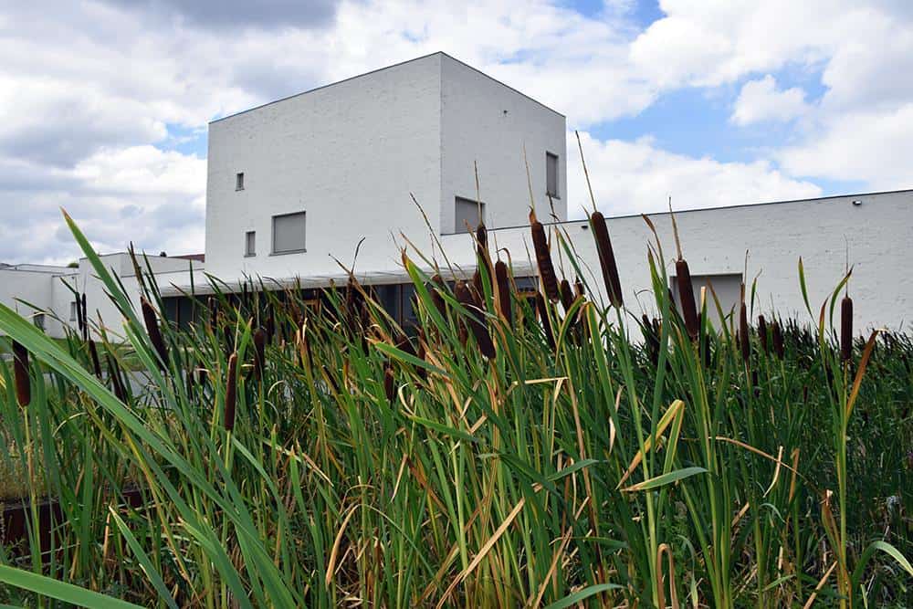 Musée De Folklore Mouscron