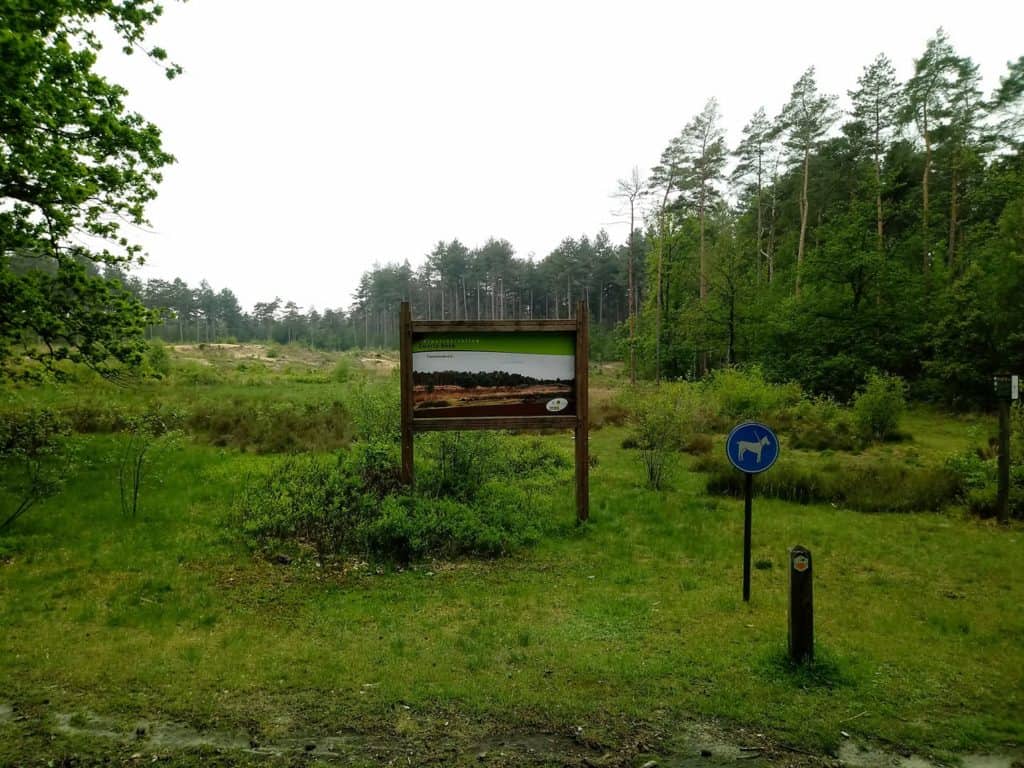 Vallei Van De Zwarte Beek