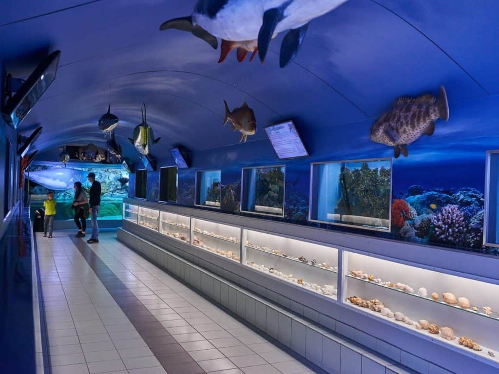 Zee Aquarium