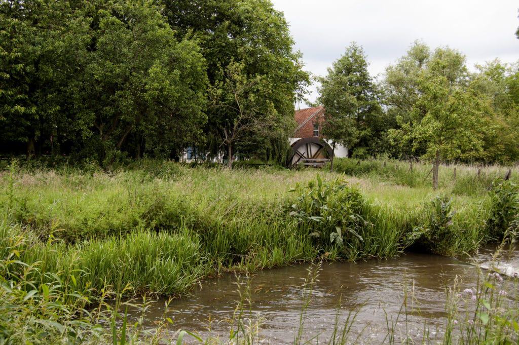 Sint-Maartensheide - De Luysen