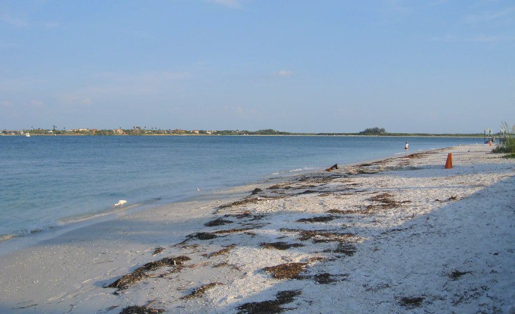 Shell Key Preserve