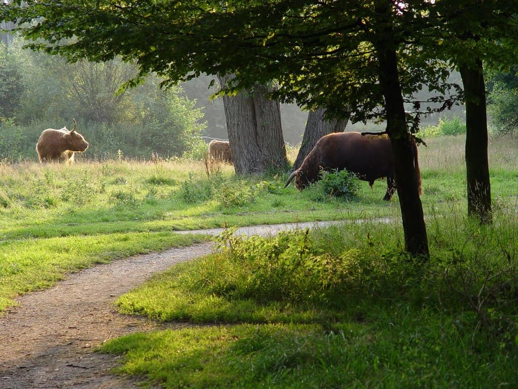 Natuurpark Overstegen