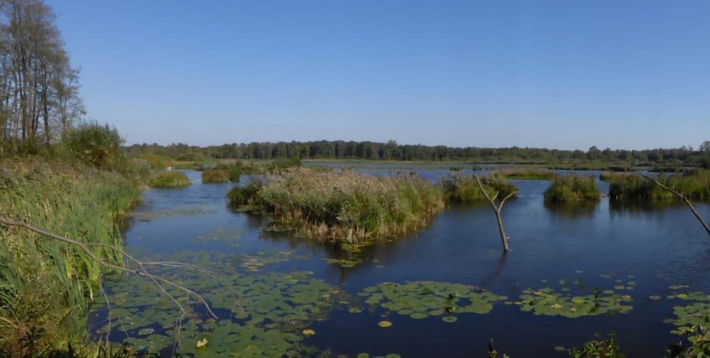 Vallei van de Abeek