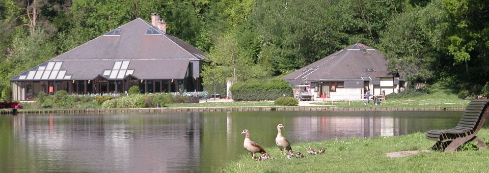 Bois des Rêves