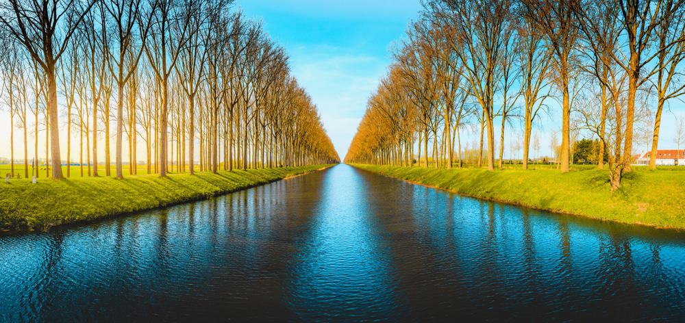 Damse Vaart