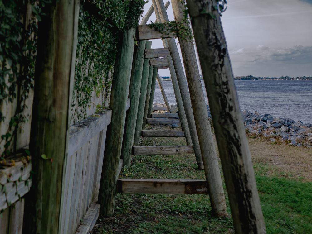 Fort Caroline National Memorial, Artistic Side View