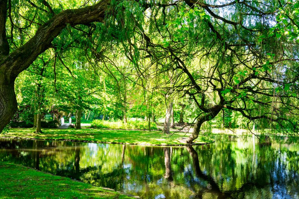 Stadspark