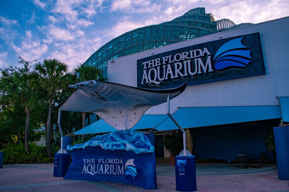 The Florida Aquarium, Tampa