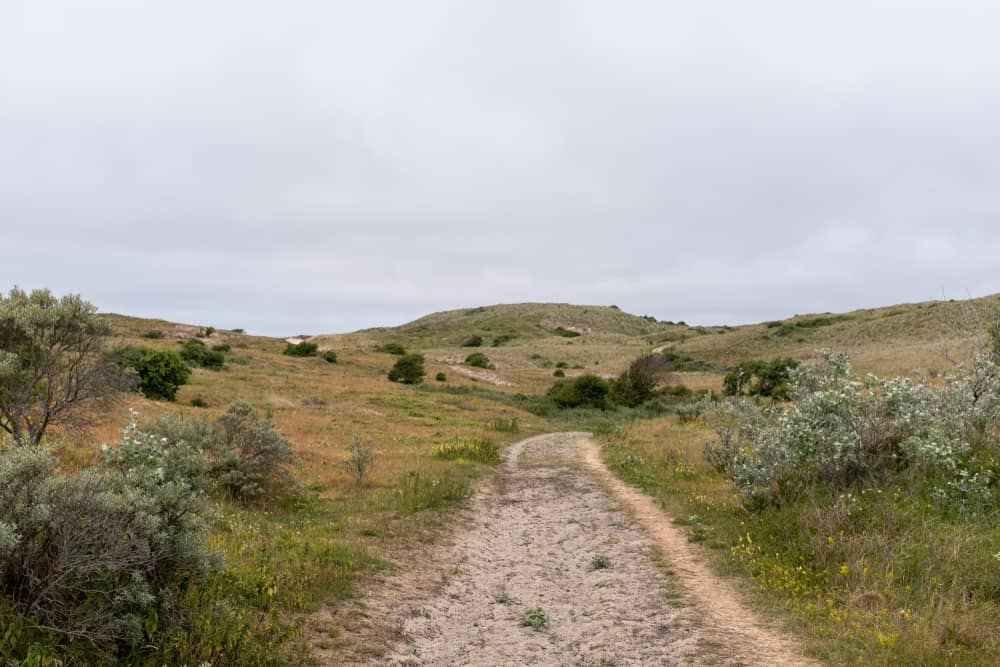 Noordhollands Duinreservaat