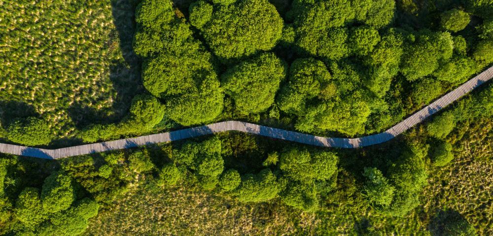 Hautes Fagnes-Eifel Nature Park