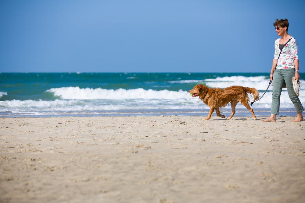 Oostkapelle Beach