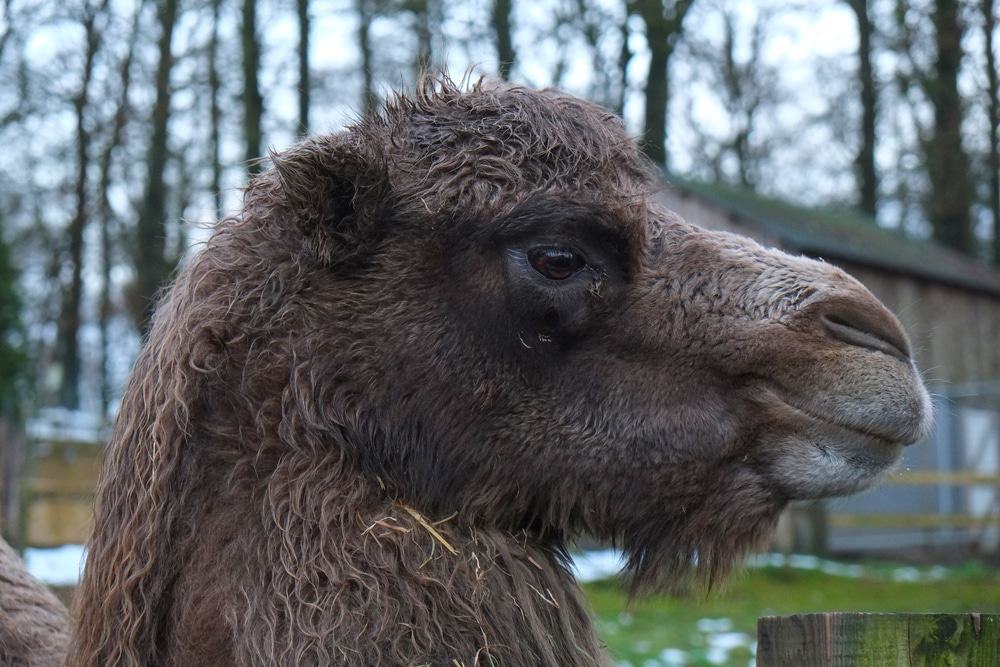 Bouillon Wildlife Park