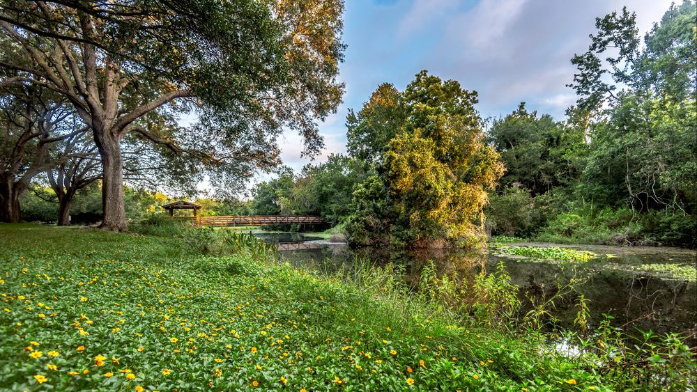 Sawgrass Lake Park