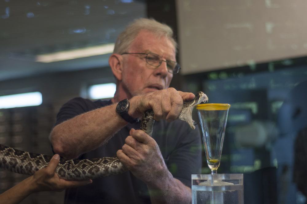 Reptile World Serpentarium