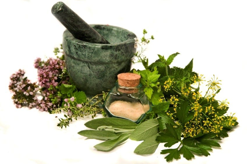 Enchanted Herbs & Botanicals
