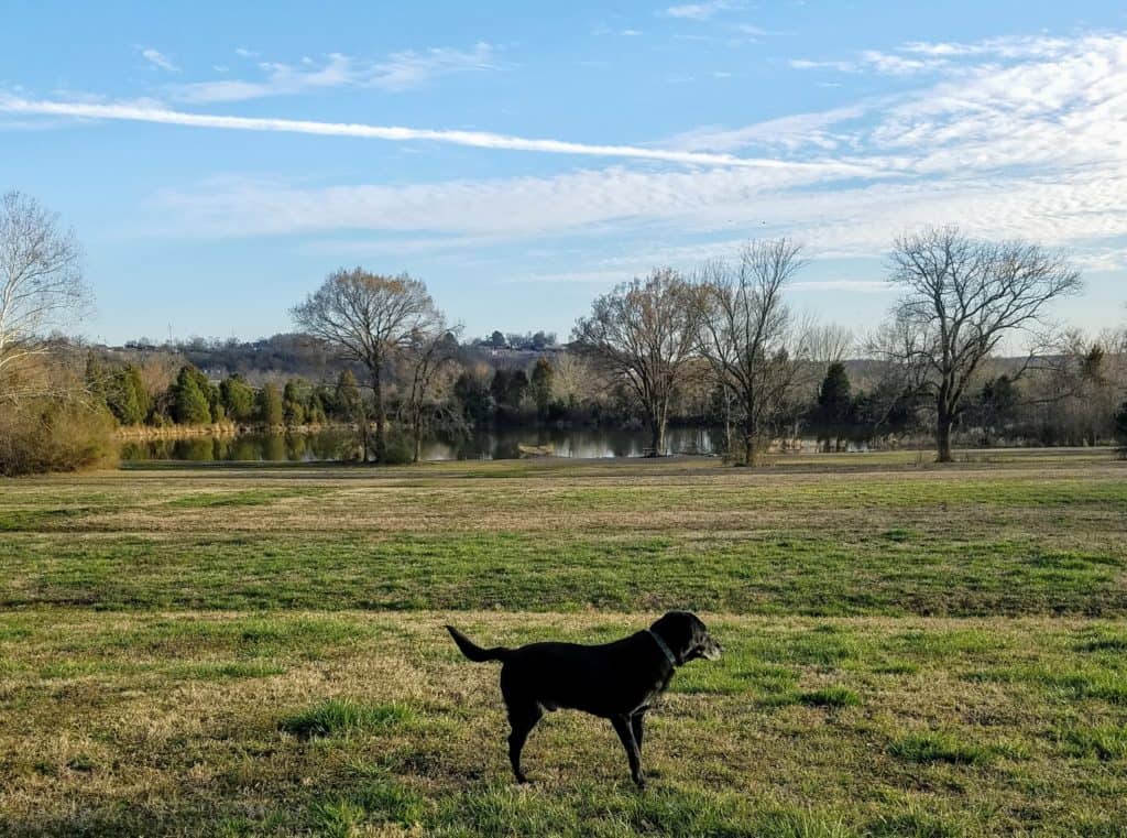 Fort Smith Dog Park