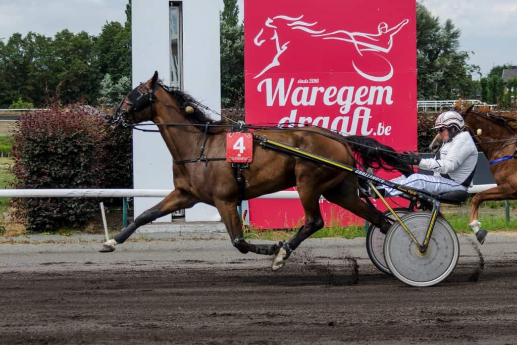 Hippodroom Van Waregem