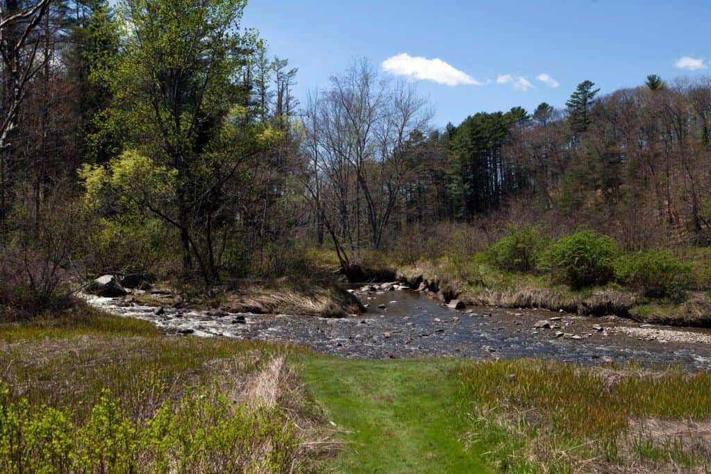 Maine Audubon – Mast Landing Sanctuary