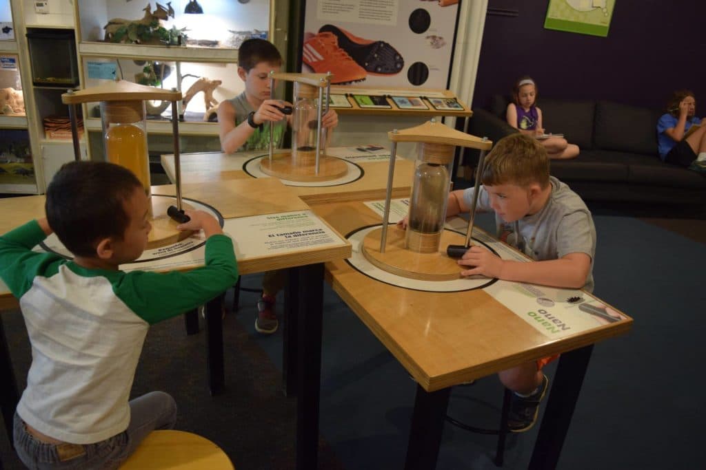 Maine Discovery Museum