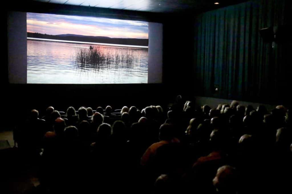 Maine International Film Festival