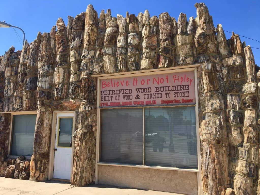 Petrified Wood Gas Station, Lamar