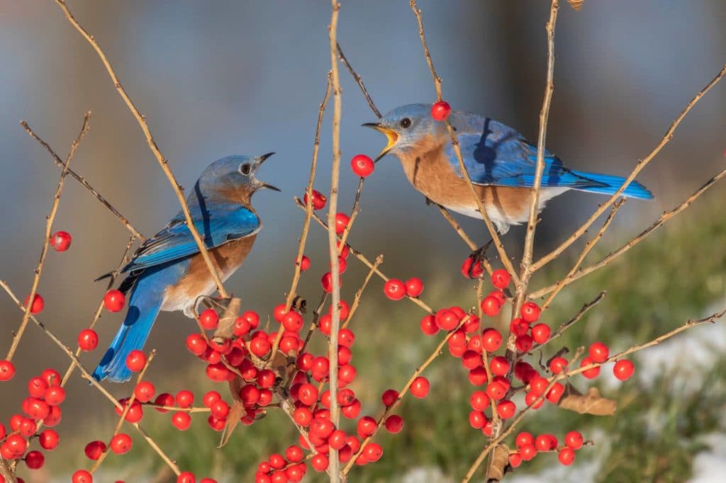 Rachel Carson National Wildlife Refuge