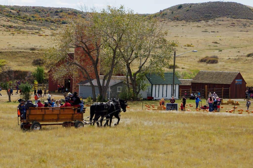 Schweiger Ranch Fall Festival