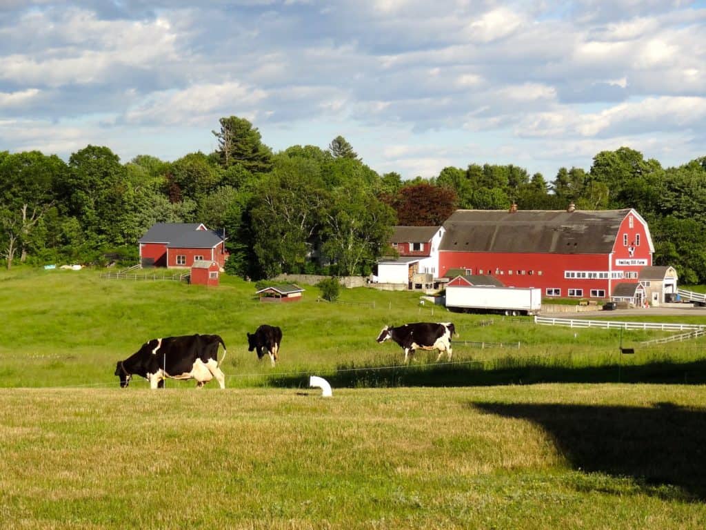 Smiling Hill Farm