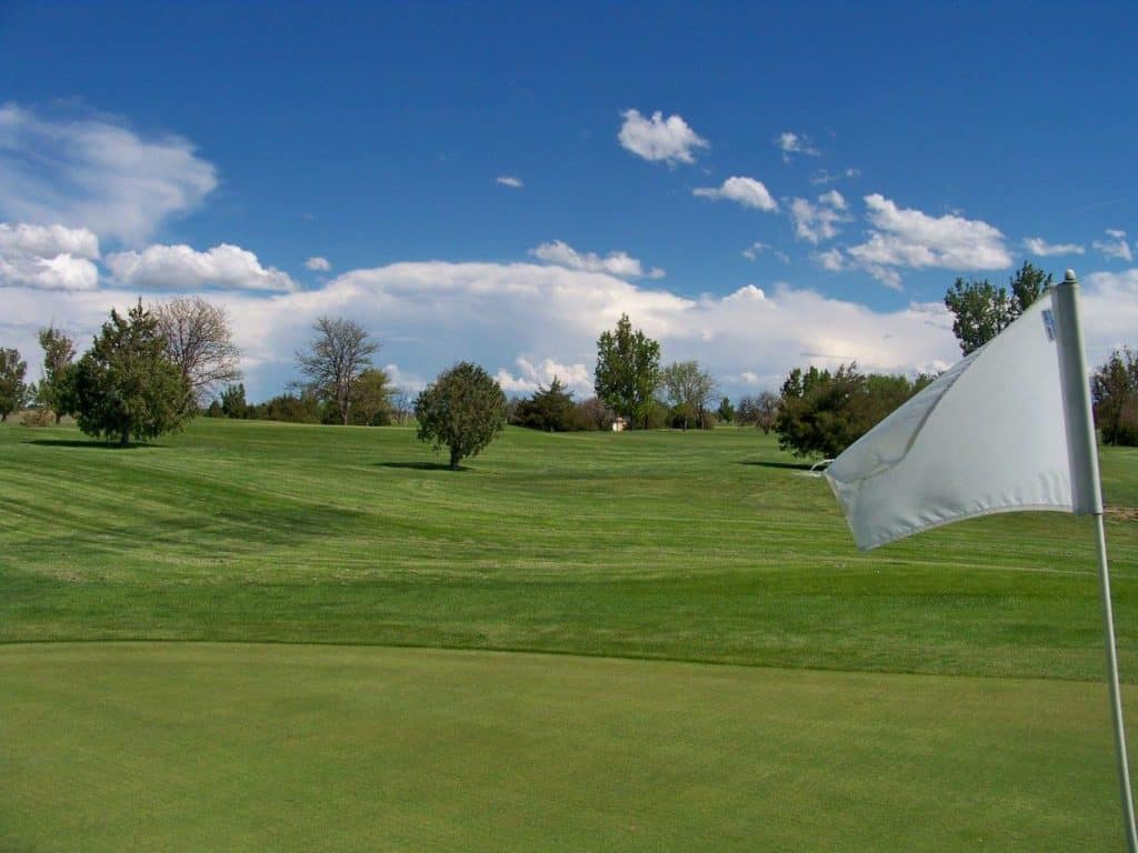 The Course At Pettey's Park