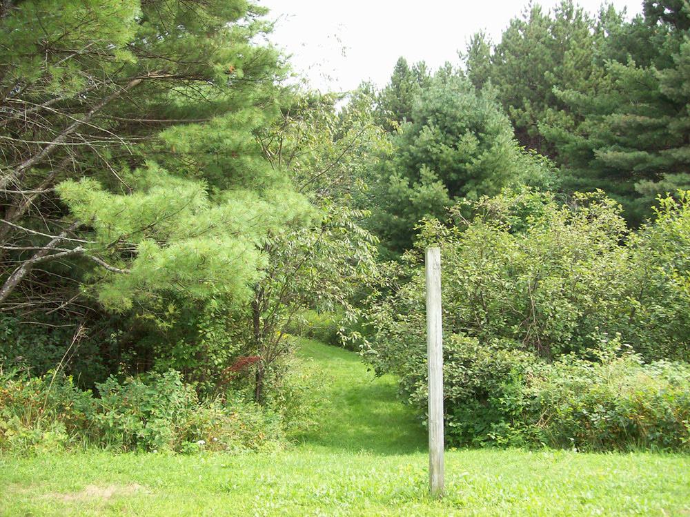 Cumberland Town Forest Trail