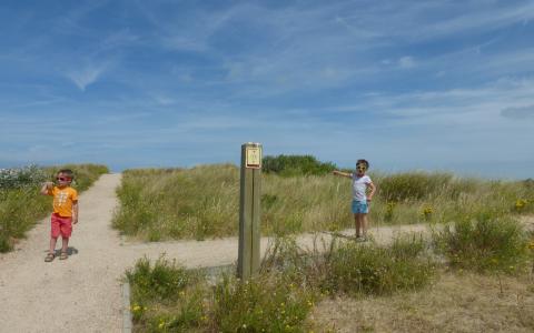 Sint-Laureinsduinen