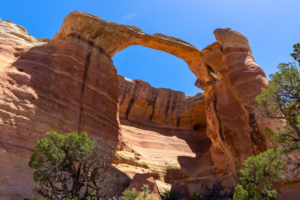Rattlesnake Canyon, Colorado