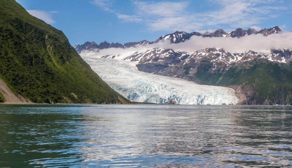 Aialik Glacier
