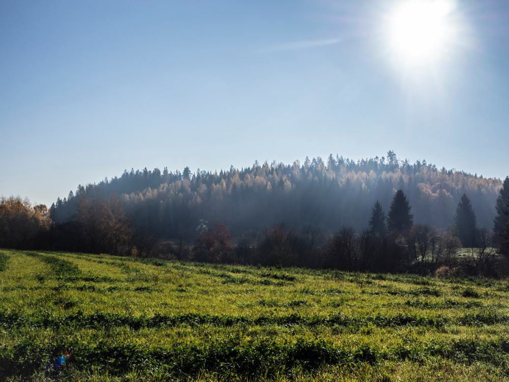 Sipoonkorpi National Park