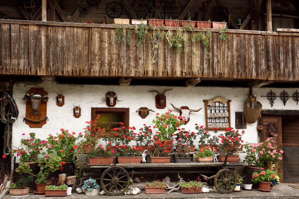 The Working Farm Experience