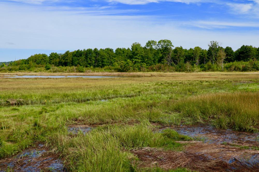 The Eastern Trail