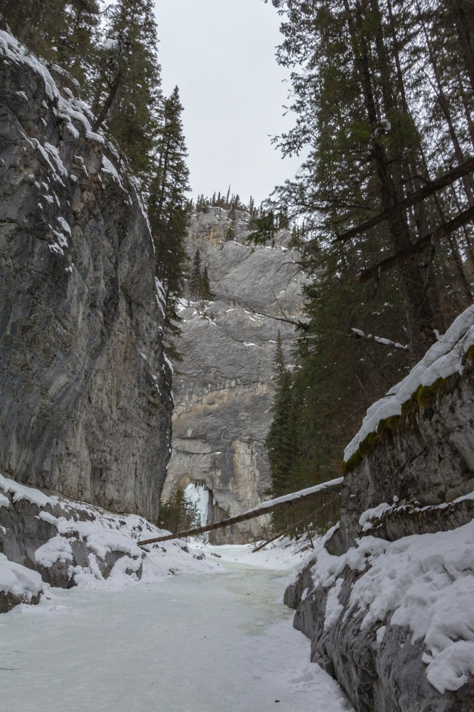 Grotto Canyon Ice Walk