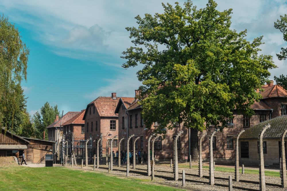 Auschwitz Gate and Houses