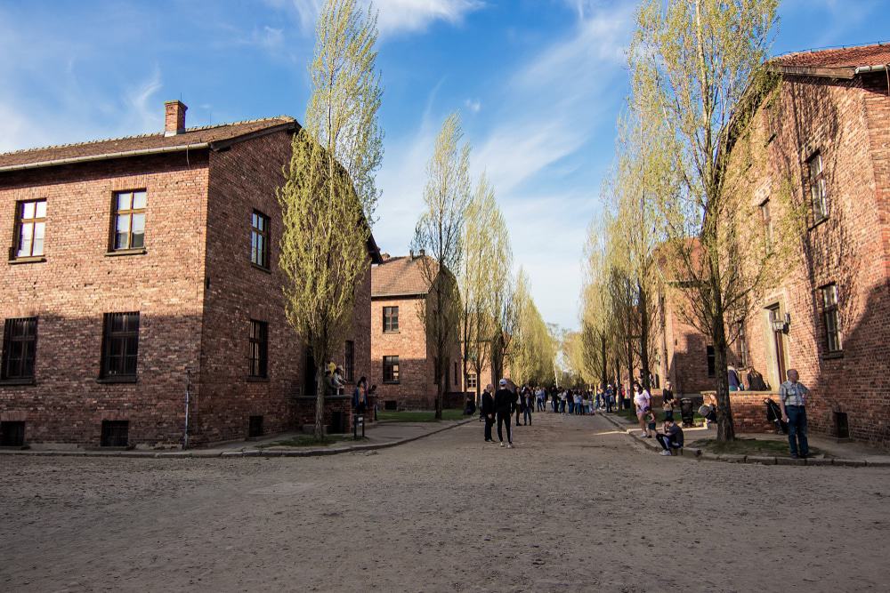 Auschwitz Barracks