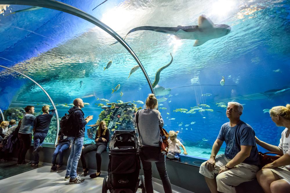 National Aquarium of Denmark