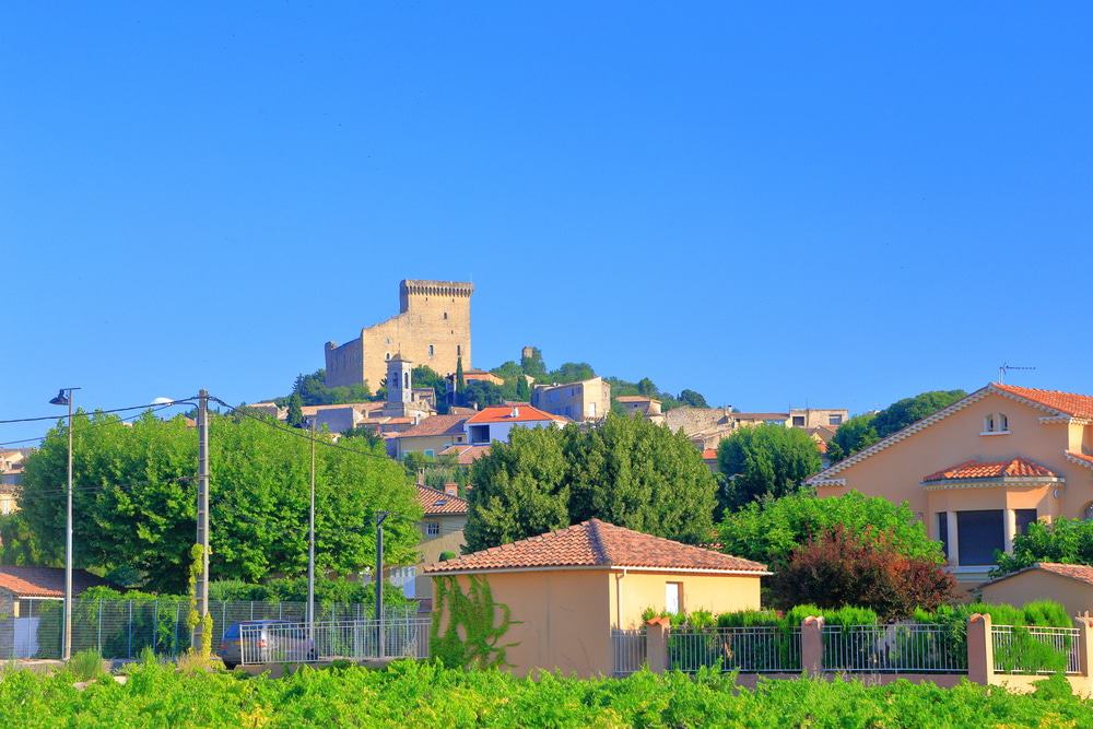 Vineyards and Castle, Châteauneuf du Pape
