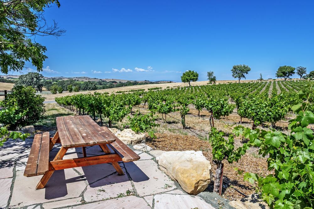 Paso Robles Wine Country