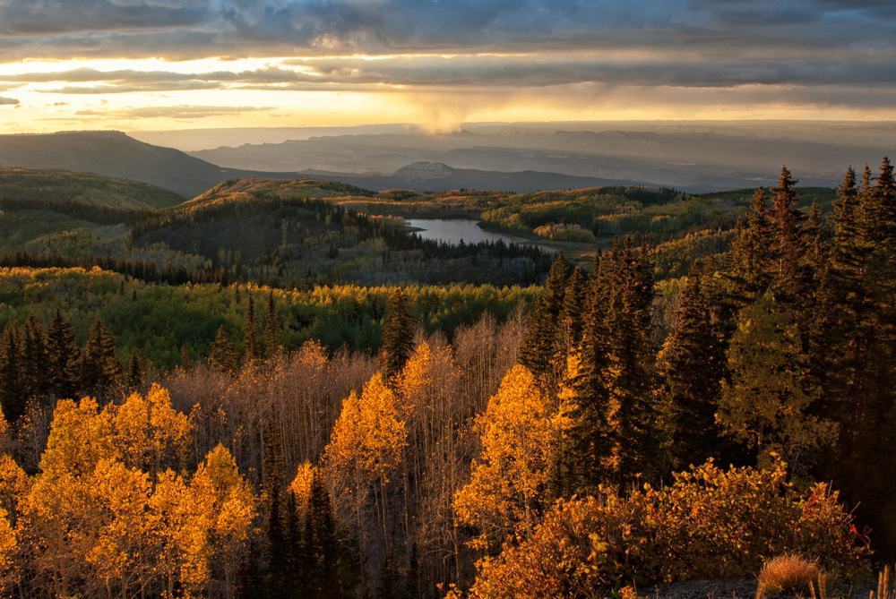 Grand Mesa National Forest