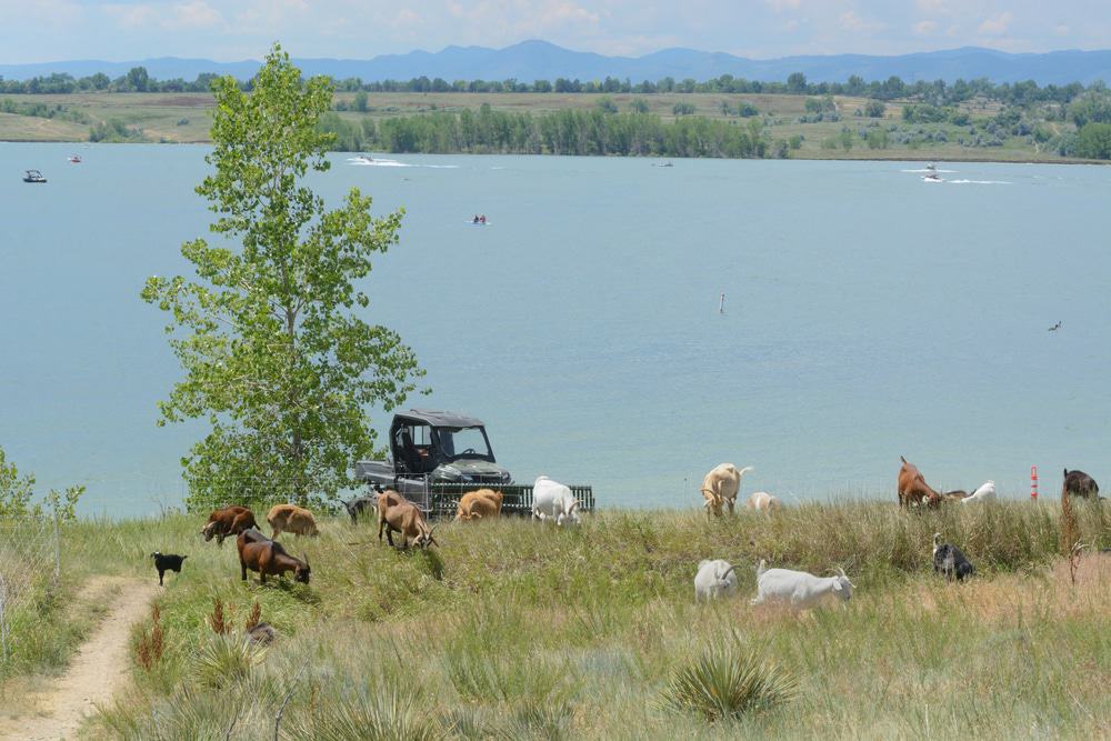 Standley Lake Regional Park